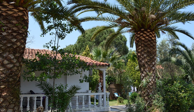 Bungalow with Private Garden