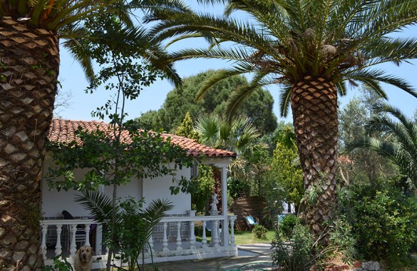 Bungalow with Private Garden